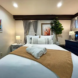 Artist's In The Heart Of The Sacramento